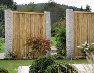 BAMBUS AostaNova® - Kanadische Gebirgsdouglasie