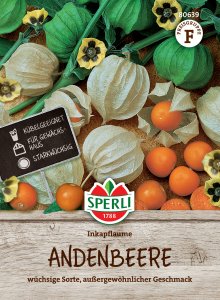 Andenbeere - Inkapflaume