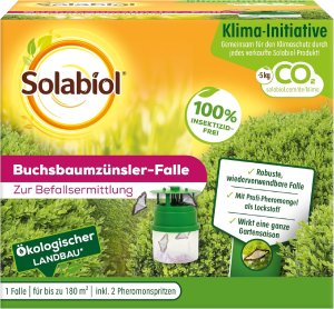 Solabiol Buchsbaumzünsler-Falle