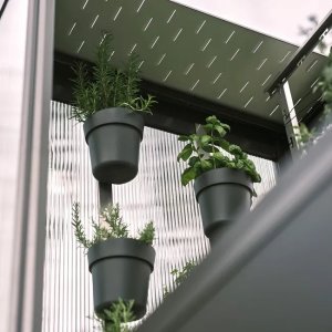 Pflanzentopf-Set zu biohort Gewächshaus Florentina oder Gewächshausaufsatz Florentina