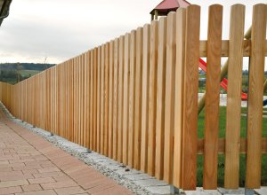 Vorgartenzaun Kanadische Gebirgsdouglasie