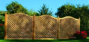 RANKZAUN AostaNova® - Kanadische Gebirgsdouglasie - rund