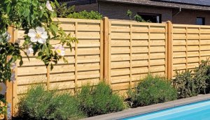 DICHTZAUN AostaNova® - Kanadische Gebirgsdouglasie